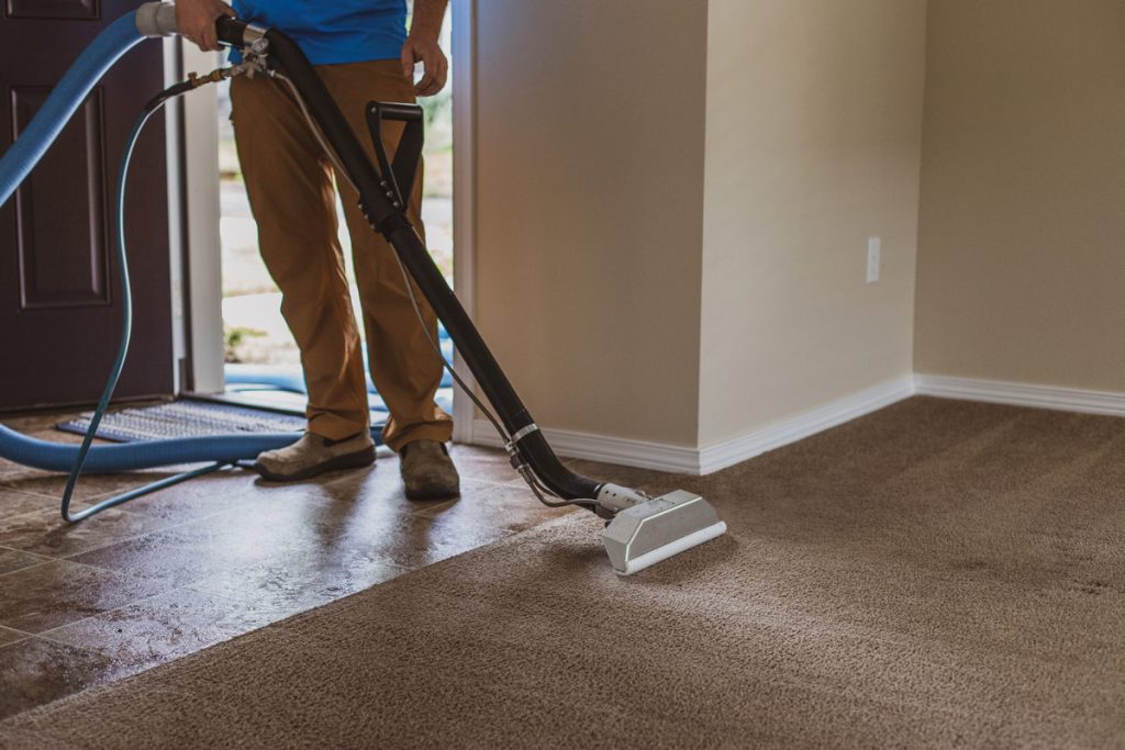 carpet cleaning