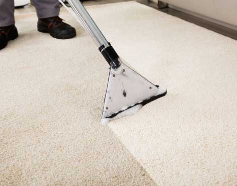 carpet-cleaned